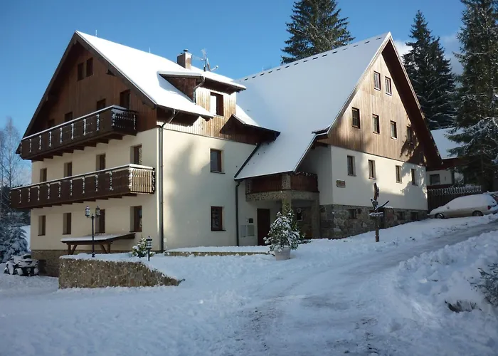 Guest house Alpsky Dum 3*