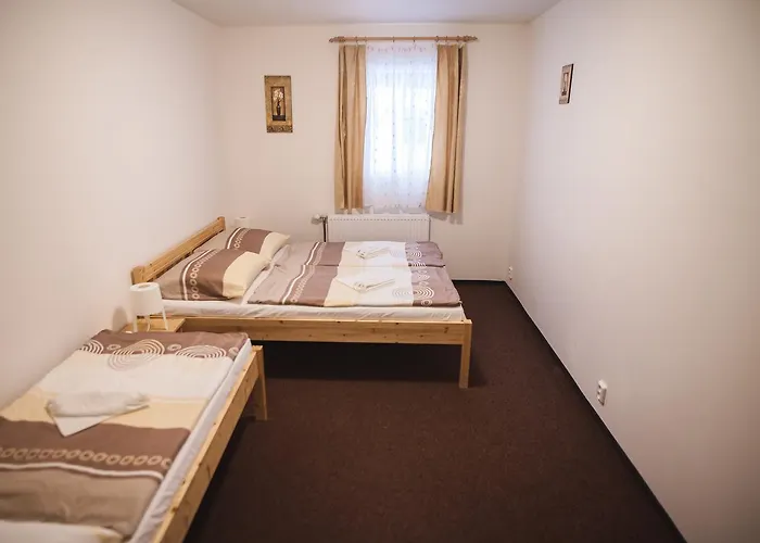 Guest house Alpsky Dum 3*