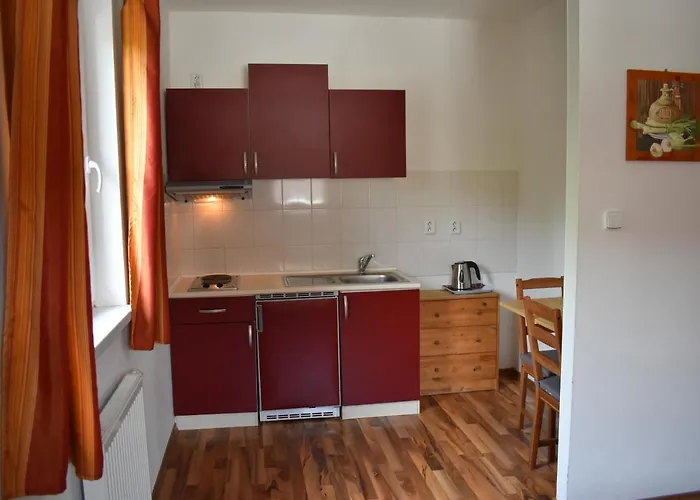 Guest house Alpsky Dum Zelezna Ruda